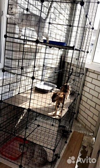 Вольер для щенков 12 секций