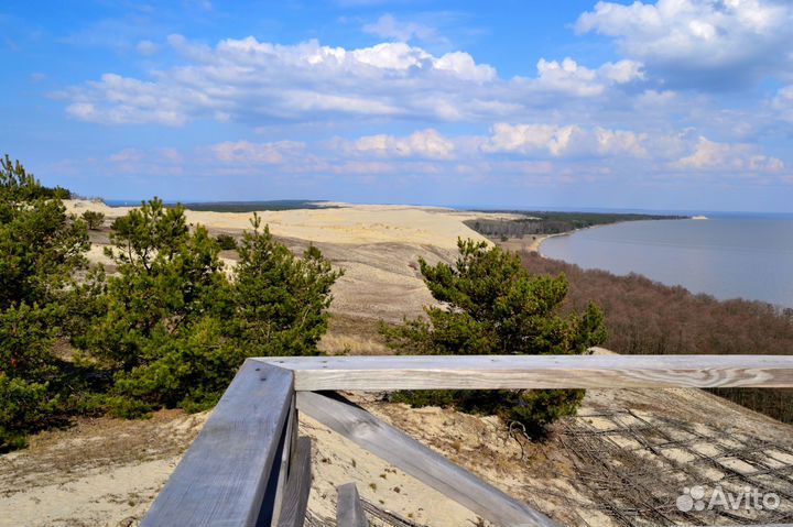 Индивидуальная экскурсия Куршская коса+Зеленоградс