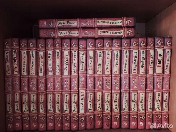 Коты воители Стань диким Лес секретов опасная троп