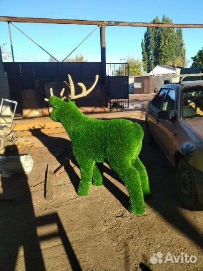 Топиари фигуры садовые