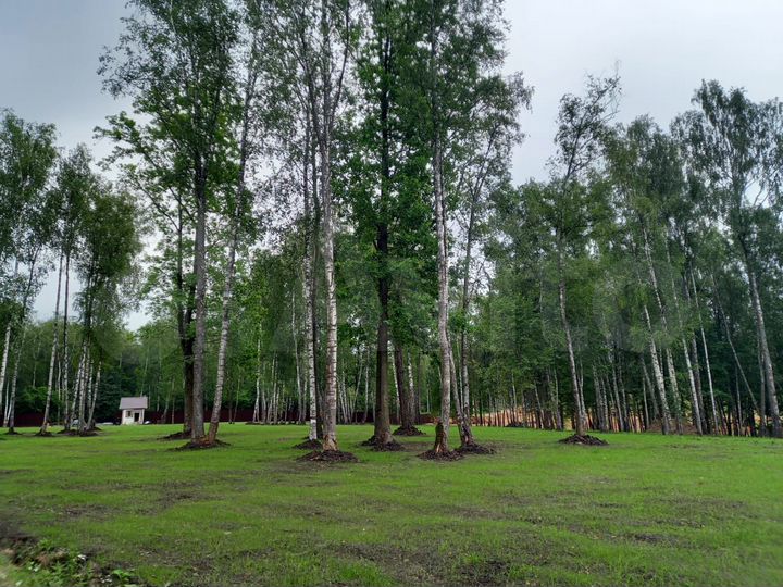 Участок 6 сот. (ИЖС)