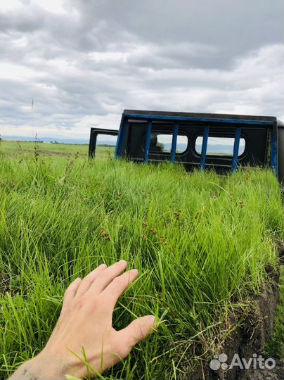 Газон (Полевой) морозоустойчивый