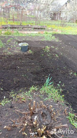 Вспашка земли трактором