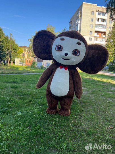 Ростовая кукла Белый Мишка поздравление