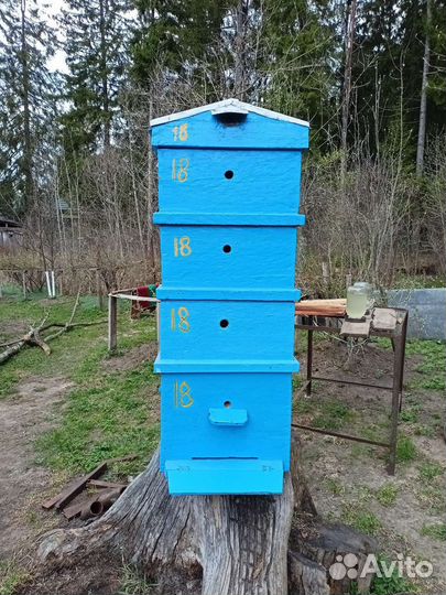 Ульи рут 3000т