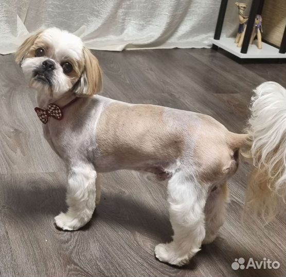 Вязка мальчик 9 лет