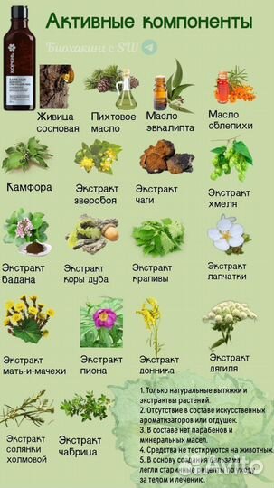 Бальзам корень. Сибирское здоровье