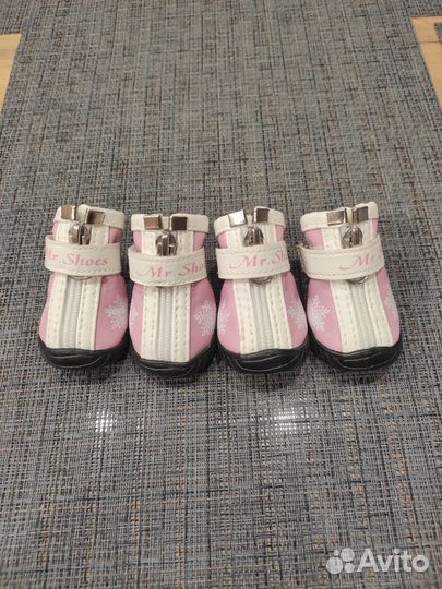 Ботиночки на маленькую собаку