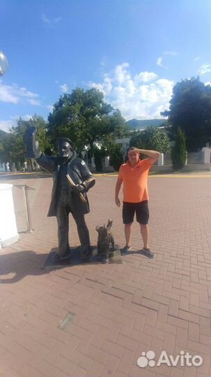 Ветеринарный Отлов собак, кошек, животных