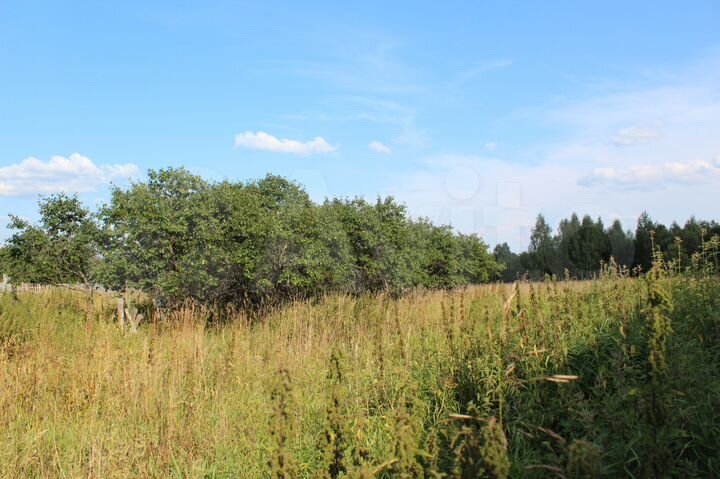 Участок 45 сот. (ИЖС)