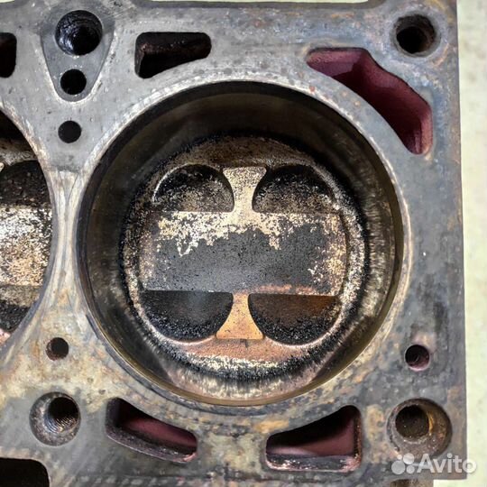 Блок 1,6 16кл Ваз в сборе