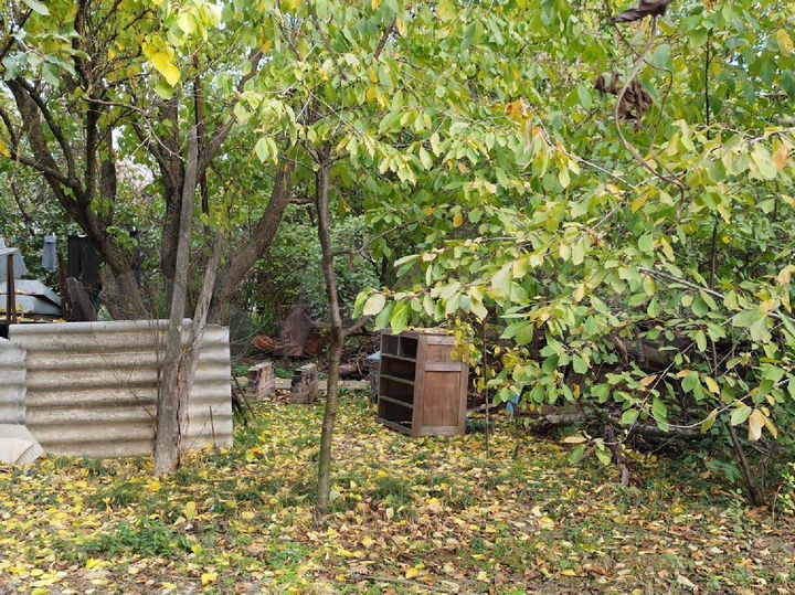 Участок 4 сот. (ИЖС)