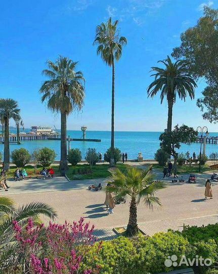 Ноябрьские праздники в Абхазии (из Белгорода)