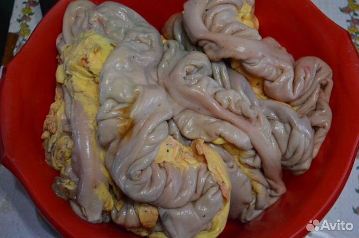 Рубец, книжка, кишки, сычуг