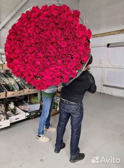 Высокие розы 150 160 170 180 190см доставка Москва