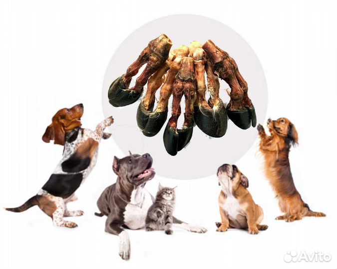 Лакомства для Собак