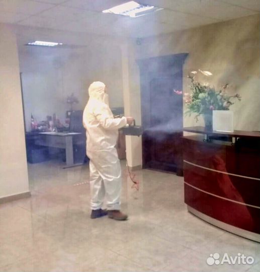 Уничтожение клопов, тараканов, мышей