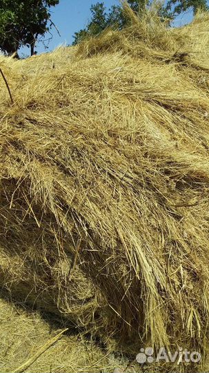 Продажа сена в рулонах