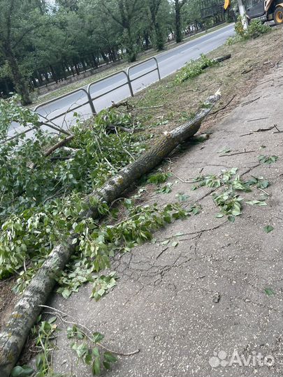 Дрова бесплатно самовывоз