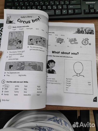 Английский Fly High