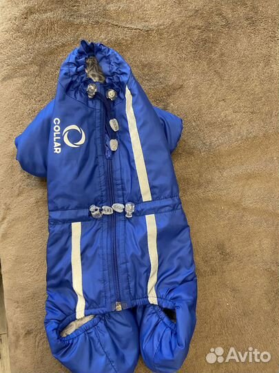 Комбинезон для маленьких пород собак