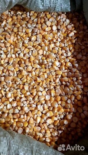 Кукуруза, ячмень, комбикорм в гранулах