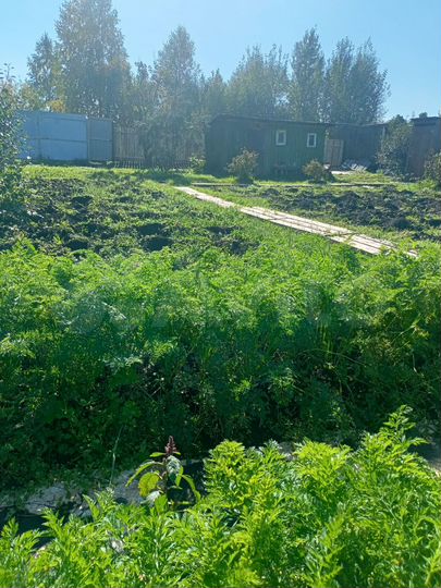 Дача 40 м² на участке 4,5 сот.