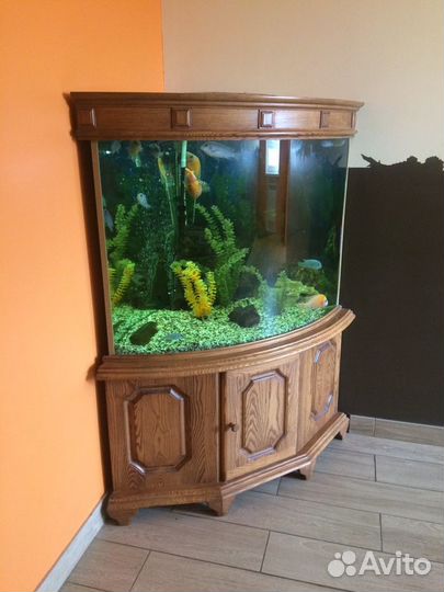 Аквариум угловой 150л