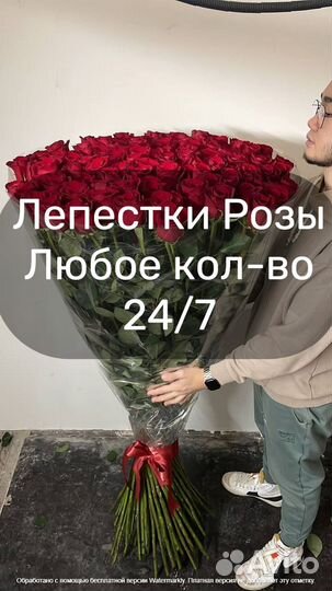 Лепестки Розы большие Колумбия