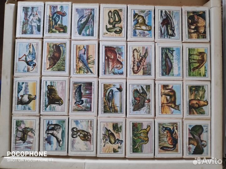 Спички коллекционные