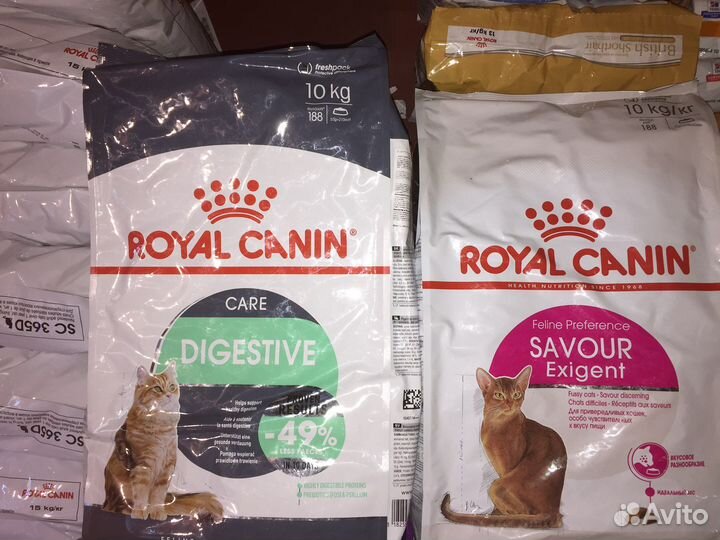 Асортимент Royal Canin корм для кошек и котят
