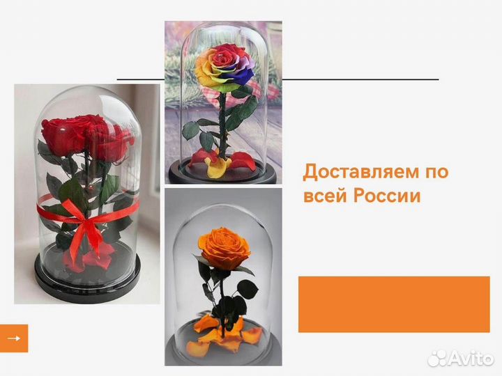 Роза в колбе. Качественная
