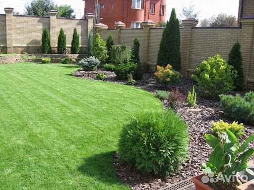 Рулонный газон элитный