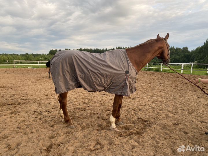 Дождевая попона Loesdau