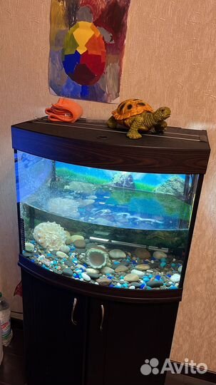 Аквариум с тумбой