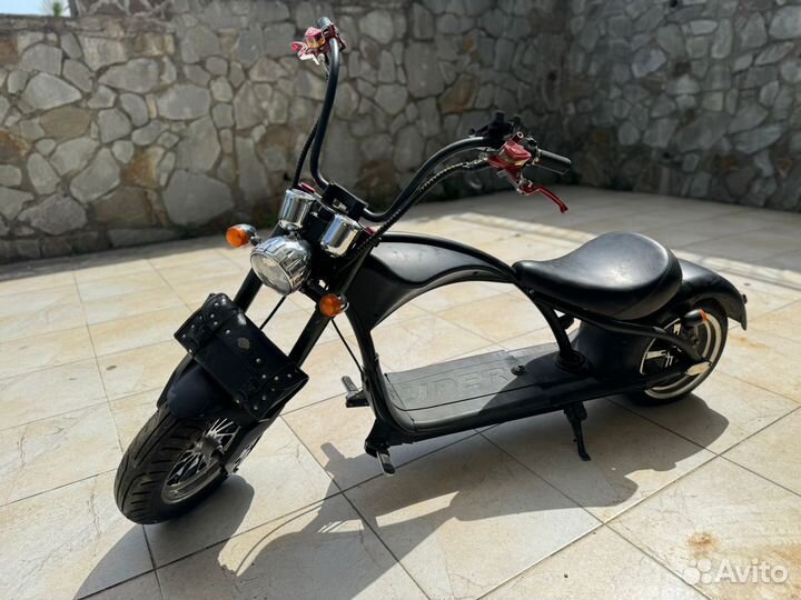 Wild wheel white siberia