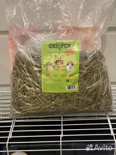 Клетка для морской свинки