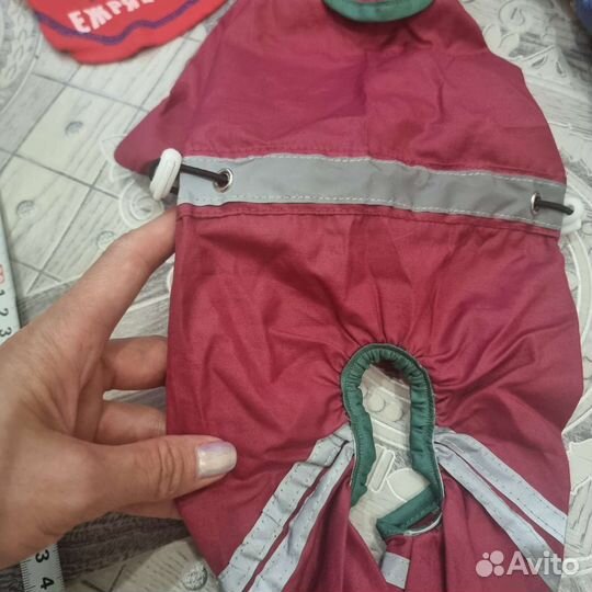 Комбинезоны для маленькой собачки