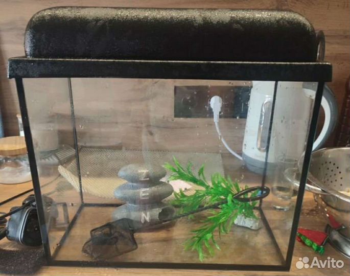 Аквариум