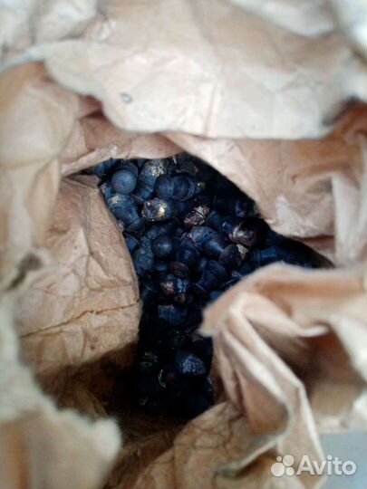 Ремонтные шипы для шин грузового транспорта