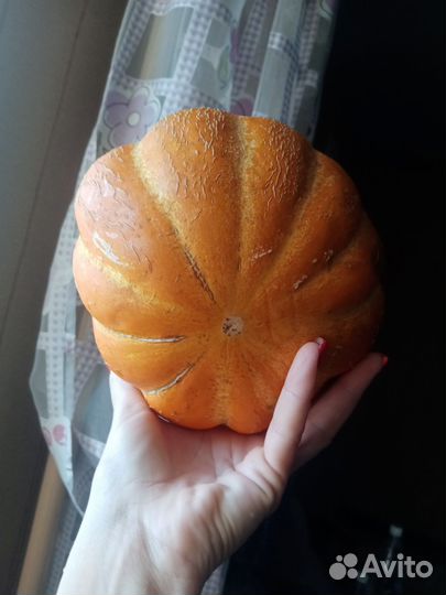 Семена дыни и арбуза