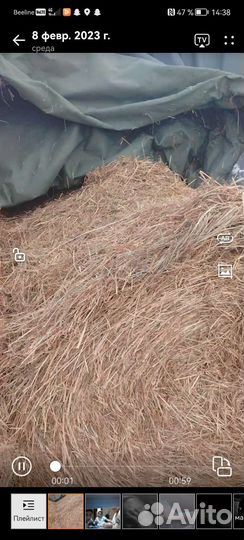 Сено в тюках по 300 килограмм, цена 3 500