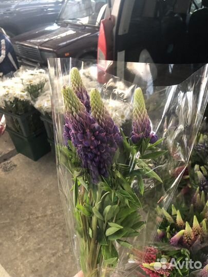 Цветы опт и розница