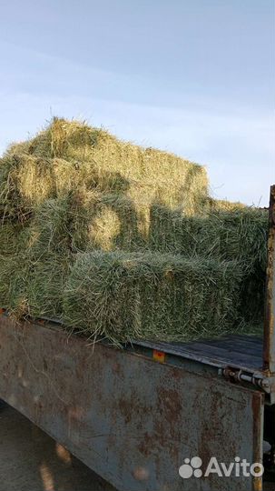 Солома, сено