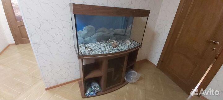 Аквариум панорамный с тумбой, фильтром, насосом в