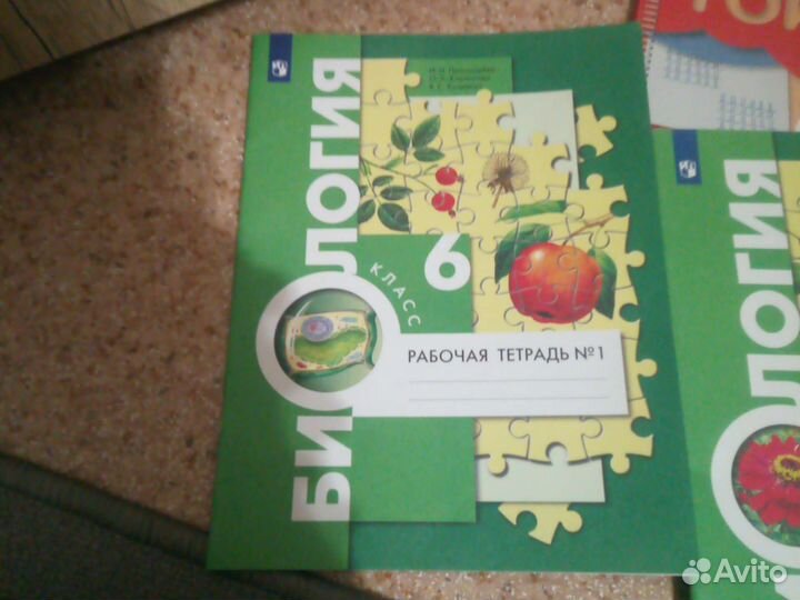 Рабочая тетрадь по английскому 6 класс и 2 части