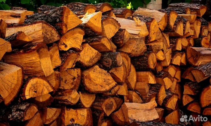 Дрова Береза