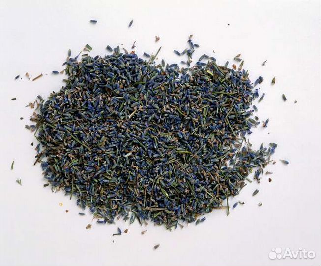 Лаванда семена