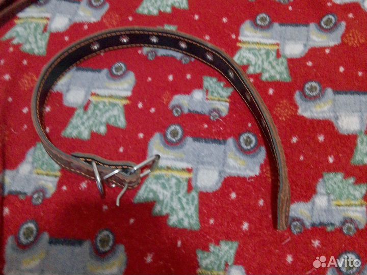 Поводок для собак