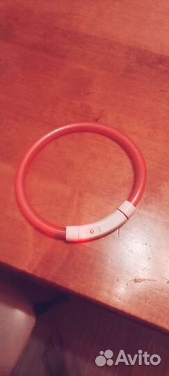 Ошейник светящиеся